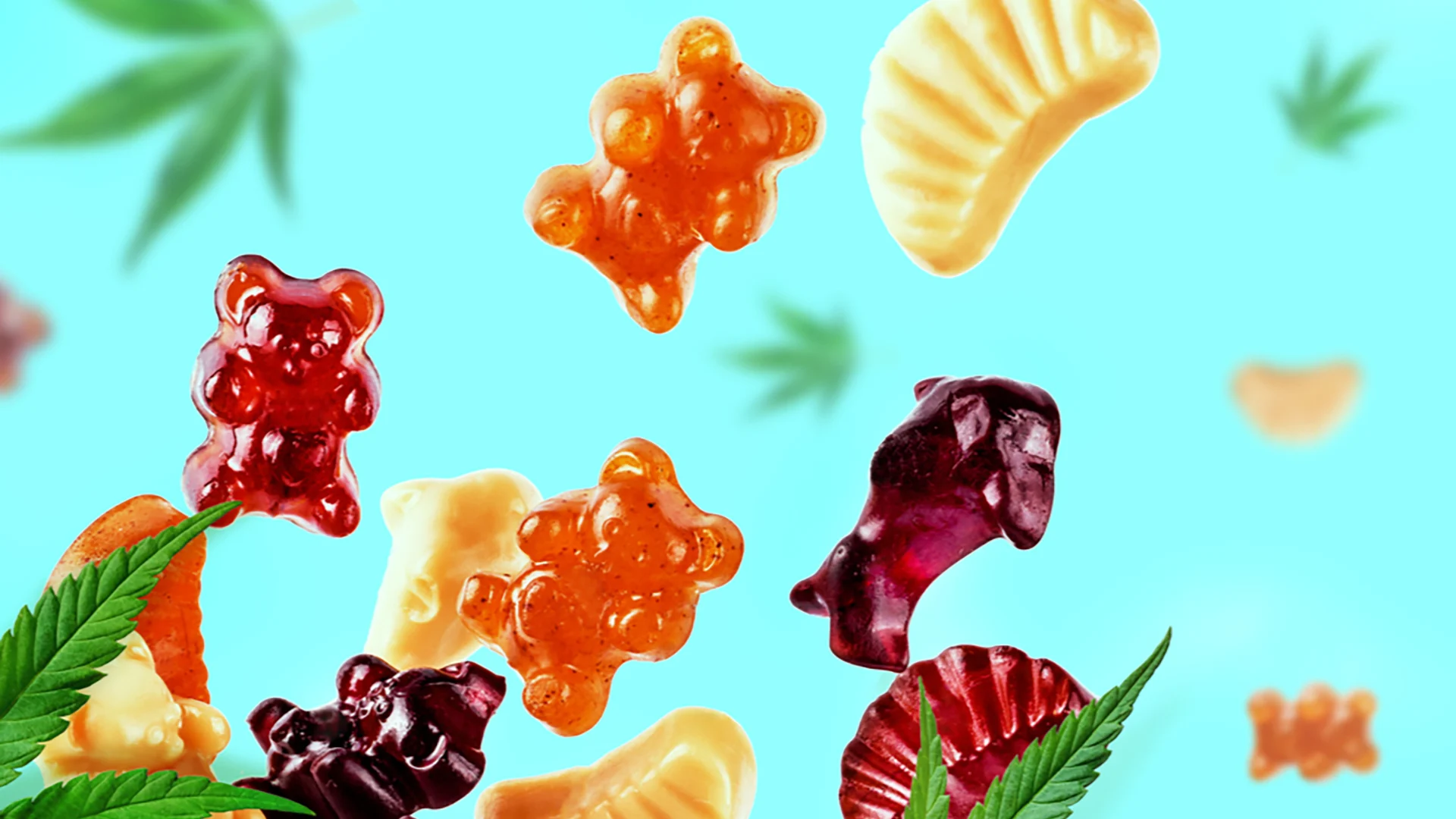 finest quality live resin edibles