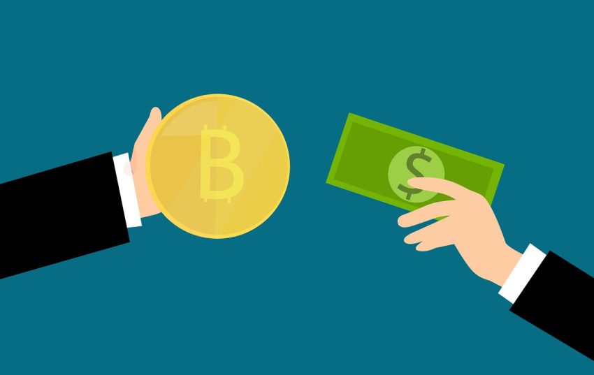 Future-Proofing Your Crypto Portfolio with Strategic Market Insights